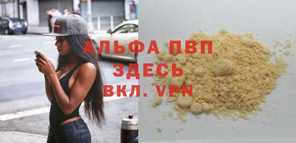 ECSTASY Богородицк