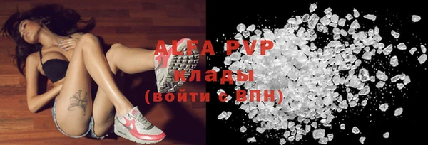 ECSTASY Богородицк