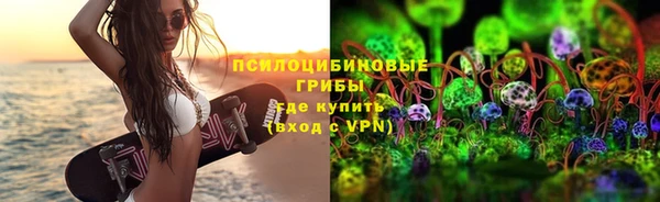 ECSTASY Богородицк