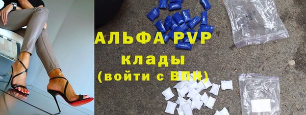 ECSTASY Богородицк
