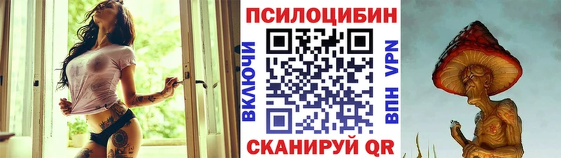 Псилоцибиновые грибы Psilocybe Озёрск